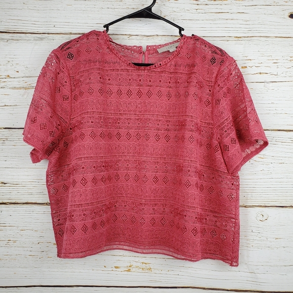 LOFT Tops - Loft Rose Crocheted Lace Crop Top